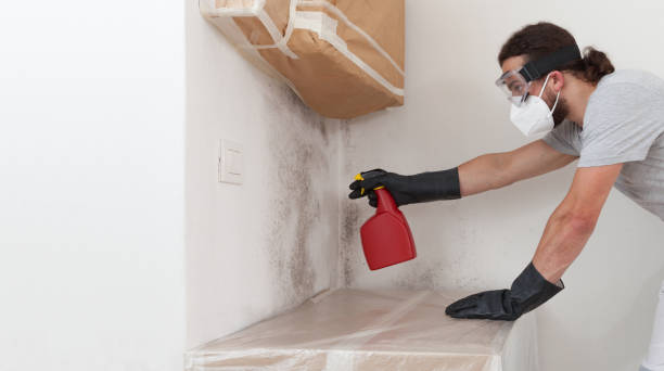 Professional Basement Mold Remediation technician working in Hampstead, NC